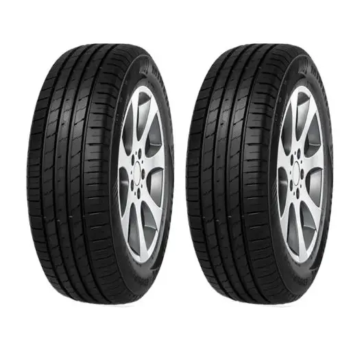 لاستیک مینروا سایز 225/60R18 گل ECOS2 SUV دو حلقه ای