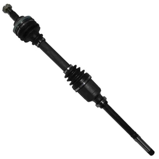 پلوس جلو زانتیا (راست) عظام 3105013