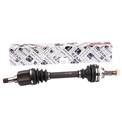 ‫پلوس جلو زانتيا عظام‬‏ (چپ) 3105014