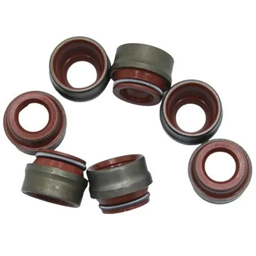 کاسه نمد ساق سوپاپ روآ ایساکو 0170702002