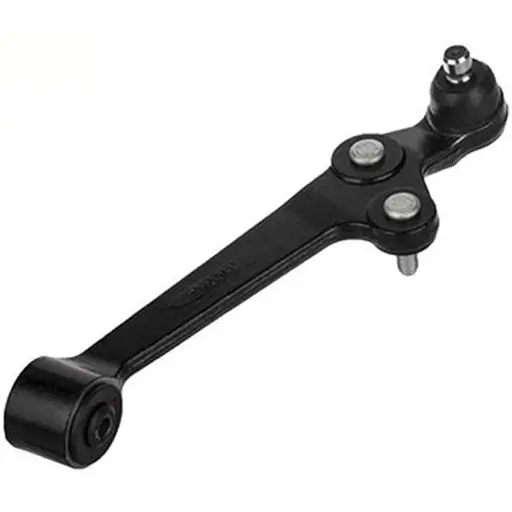 طبق جلو ریو امیرنیا (راست)