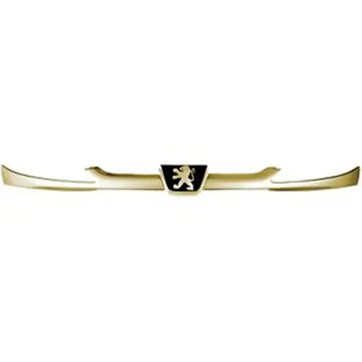 جلو پنجره پژو 206 پلیران بژ