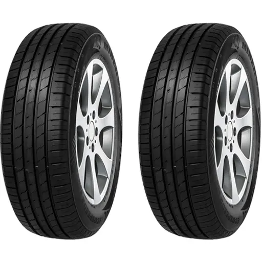 لاستیک مینروا سایز 225/65R17 گل ECOS2 SUV دو حلقه ای (2024)