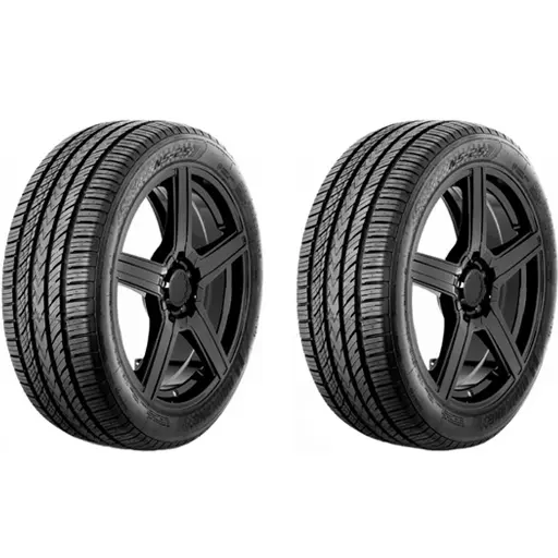 لاستیک نانکنگ سایز 225/45R17 گل NS25 دو حلقه ای (2025)