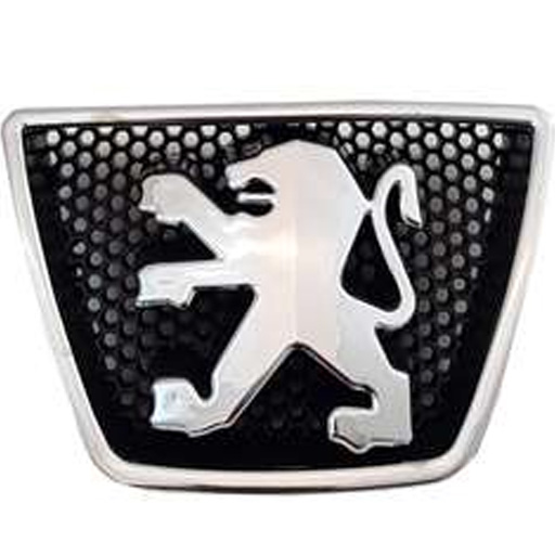 آرم جلو پنجره پژو 405