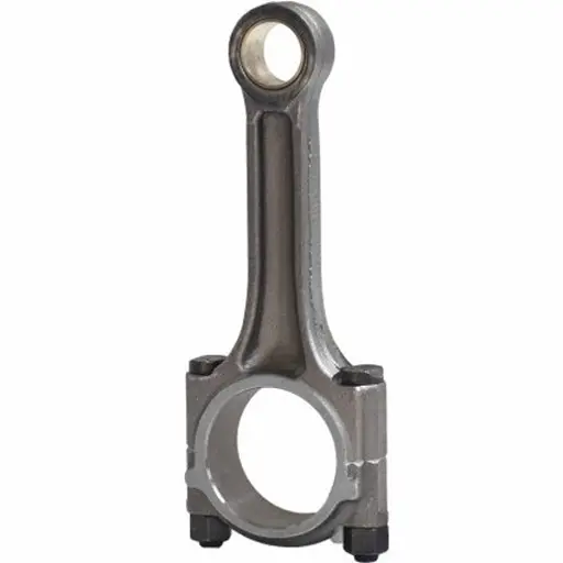 شاتون تيبا IPNC