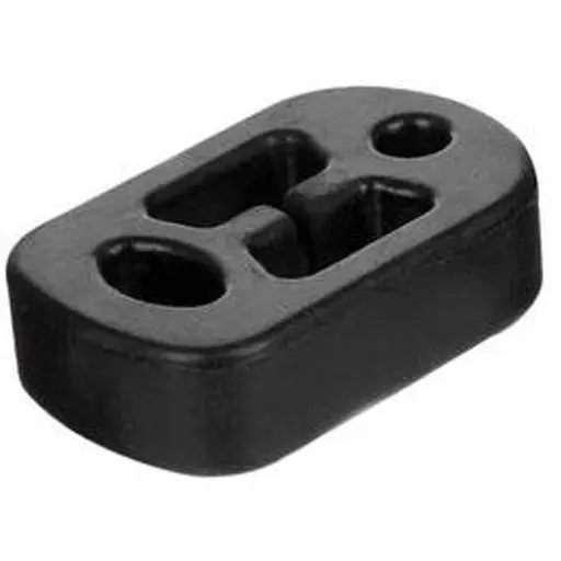 منجيد اگزوز رانا IPNC