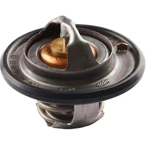 ترموستات پرايد IPNC 76 درجه