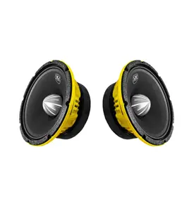 میدرنج پشت خودرو ال اس آدیو مدل 100pro سایز 10 اینچ بسته دو عددی