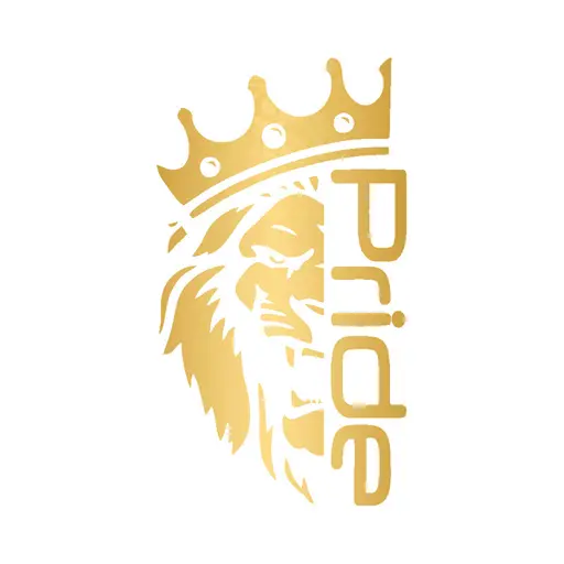 برچسب بدنه پراید شیپرس طرح Pride کد Sp004T