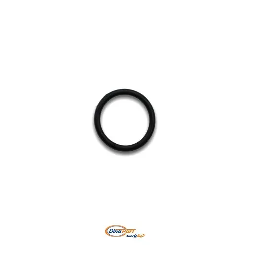 اورینگ دو راهی آب پشت سیلندر پژو 405 دینا پارت